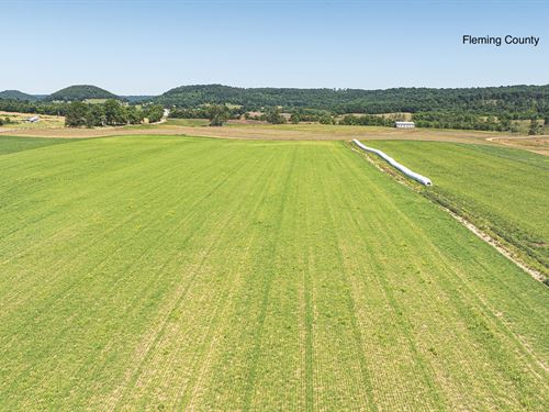 Land for Sale, Fleming County, KY : Hillsboro : Fleming County : Kentucky