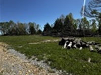20 AC Huggins MO Homesites : Huggins : Texas County : Missouri