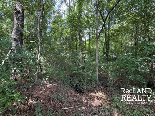 67.4 ac, Timberland to Develope : Bastrop : Morehouse Parish : Louisiana