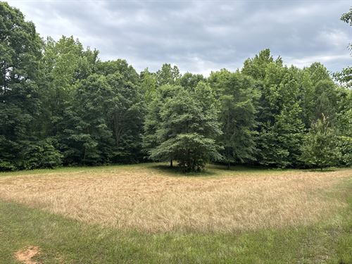 Stunning High Quality Hunting Tract : Jonesville : Union County : South Carolina