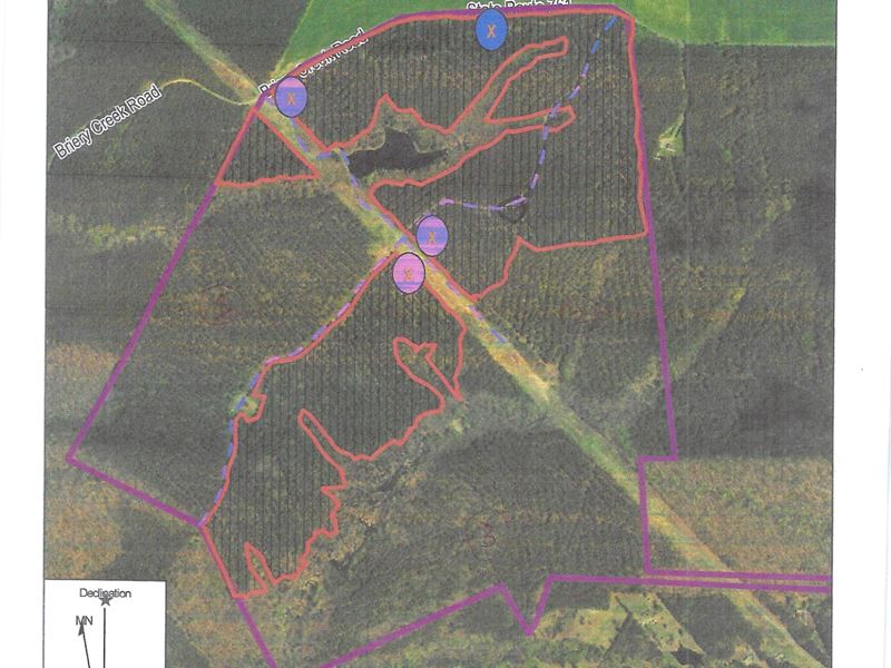 38.5 AC Homesite Fluvanna VA : Scottsville : Fluvanna County : Virginia
