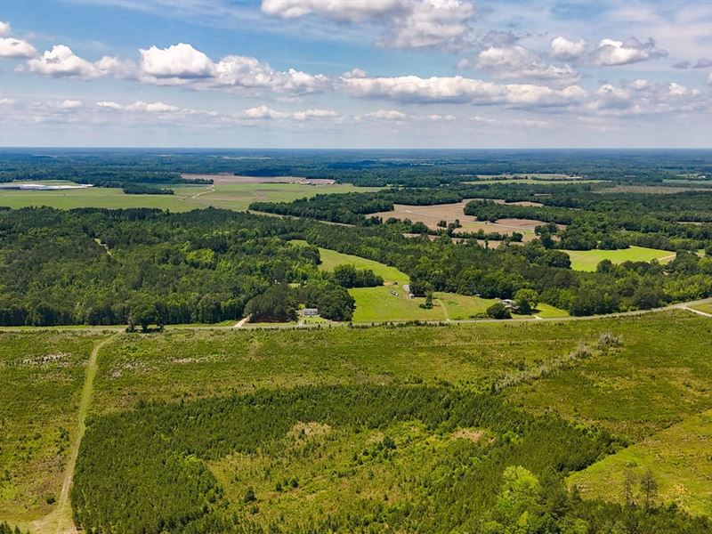 Winter Creek Tract : Bowman : Orangeburg County : South Carolina