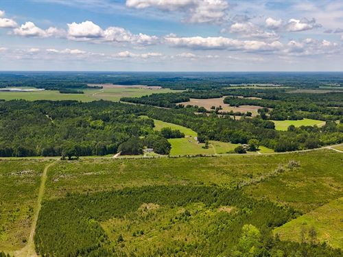 Winter Creek Tract : Bowman : Orangeburg County : South Carolina