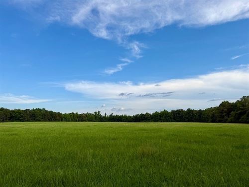 100 Acre Cattle Farm, Kennedy : Kennedy : Fayette County : Alabama