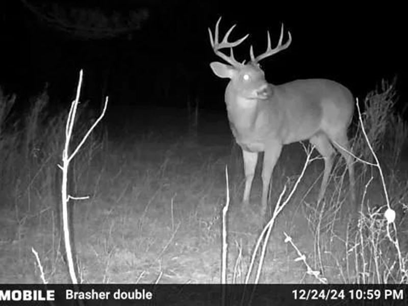 192.84 Acres in Panola County, MS : Sardis : Panola County : Mississippi