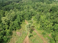 295 Acres in Warren County in Vicks : Vicksburg : Warren County : Mississippi