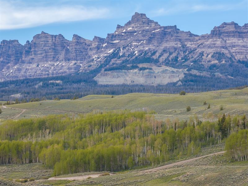 Ramshorn Aspen Reserve : Dubois : Fremont County : Wyoming