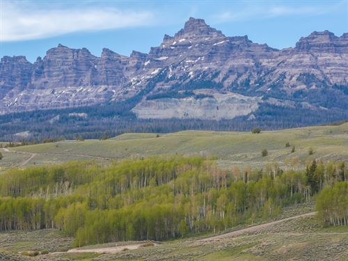 Ramshorn Aspen Reserve : Dubois : Fremont County : Wyoming