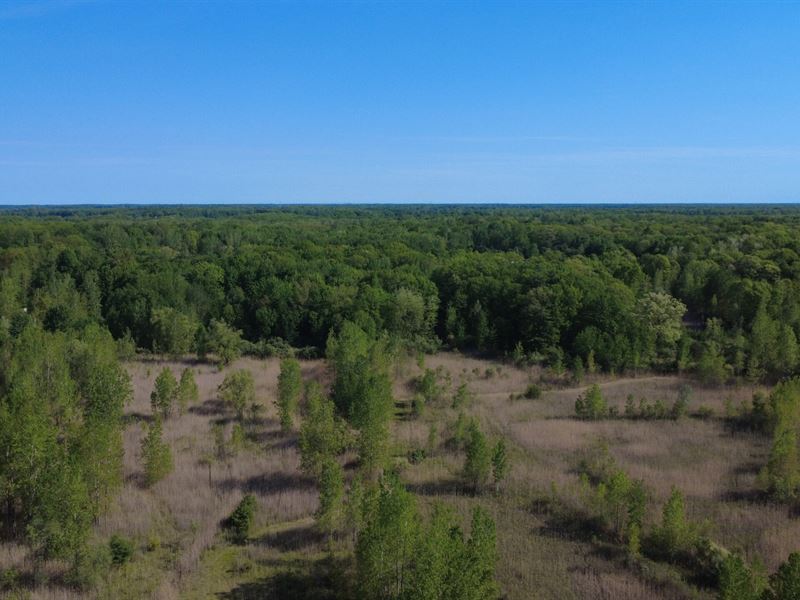 St. Clair County, 39 Acres : Columbus : Saint Clair County : Michigan