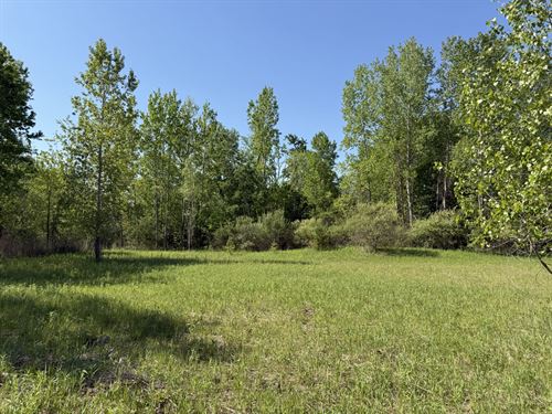 St. Clair County, 39 Acres : Columbus : Saint Clair County : Michigan