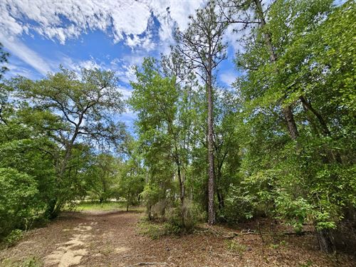 .55 Acre Building Lot with Power : Interlachen : Putnam County : Florida