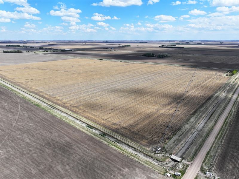 145 Acres, Phelps County Farm : Funk : Phelps County : Nebraska