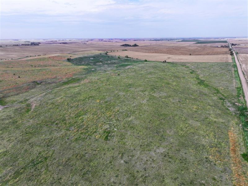 316 Acres, Buffalo County Pasture : Gibbon : Buffalo County : Nebraska