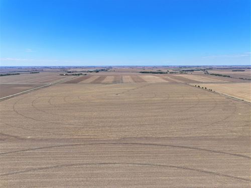 1,106 Acres, Adams County Farm : Juniata : Adams County : Nebraska