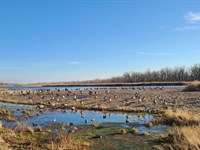 181 Acres, Dawson County, Platte : Lexington : Dawson County : Nebraska
