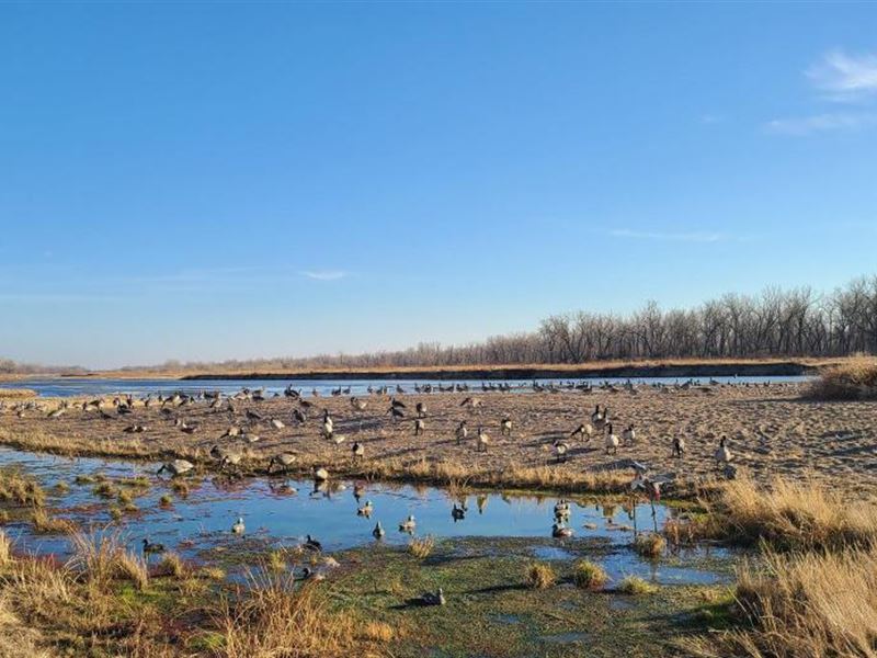 181 Acres, Dawson County, Platte : Lexington : Dawson County : Nebraska