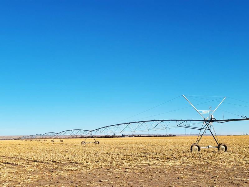 156 Acres, Southwestern Keith : Big Springs : Keith County : Nebraska