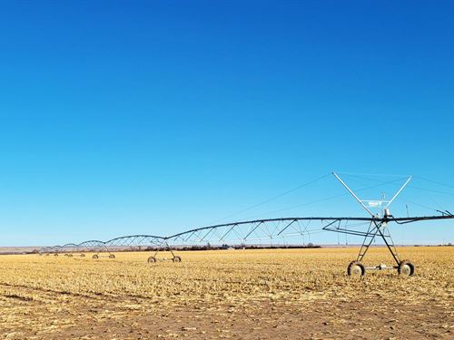 156 Acres, Southwestern Keith : Big Springs : Keith County : Nebraska
