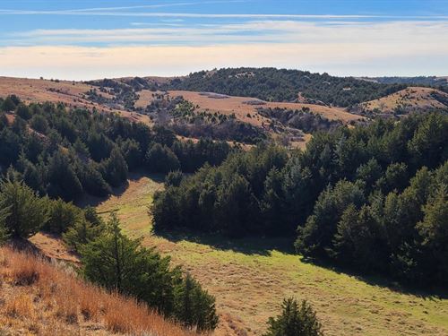 254 Acres, Lincoln County : Wellfleet : Lincoln County : Nebraska