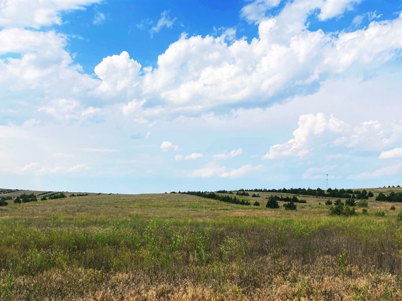 638 Acres, Box Butte County Crp : Hemingford : Box Butte County : Nebraska