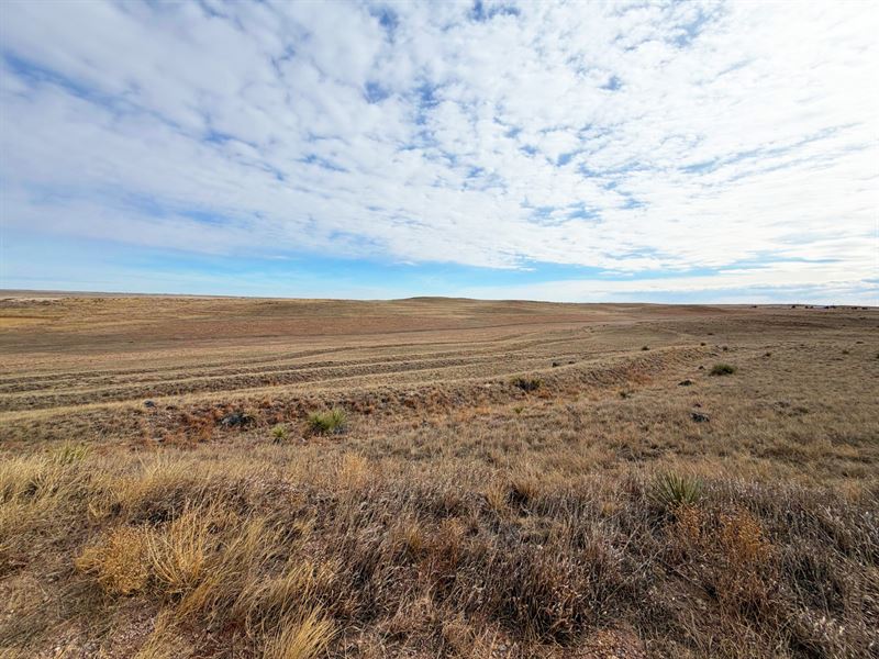 407 Acres, Kimball County, Mader : Kimball : Kimball County : Nebraska
