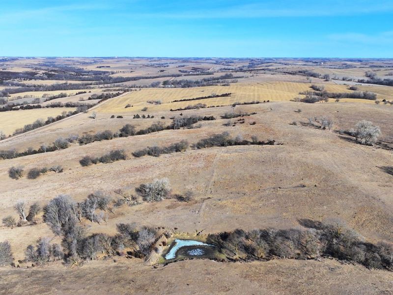 160 Acres, Butler County, Venter : Dwight : Butler County : Nebraska