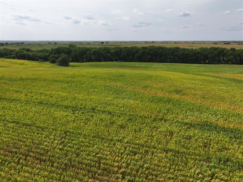 325 Acres, Bantam Estate Absolute : Orleans : Harlan County : Nebraska