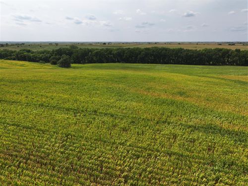 325 Acres, Bantam Estate Absolute : Orleans : Harlan County : Nebraska