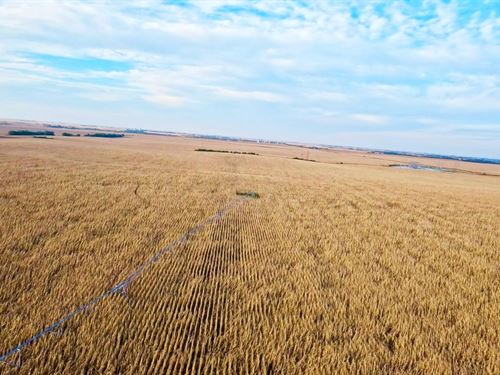 153 Acres, Clay County Pivot : Sutton : Clay County : Nebraska