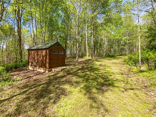 Brushy Hill Rd, 14 Acres : Jerusalem : Belmont County : Ohio