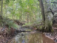22.76 Ac, Camp Hill/Waverly : Camp Hill : Tallapoosa County : Alabama