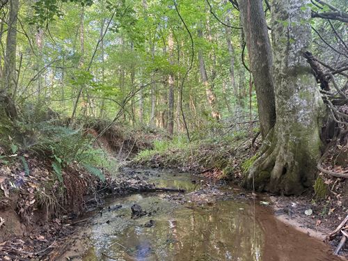 22.76 Ac, Camp Hill/Waverly : Camp Hill : Tallapoosa County : Alabama