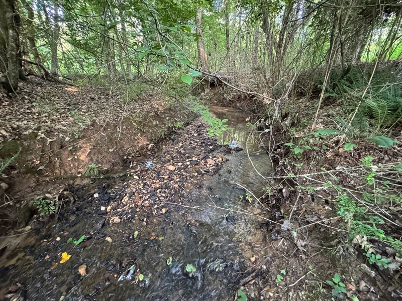 22.76 Ac, Camp Hill/Waverly : Camp Hill : Tallapoosa County : Alabama