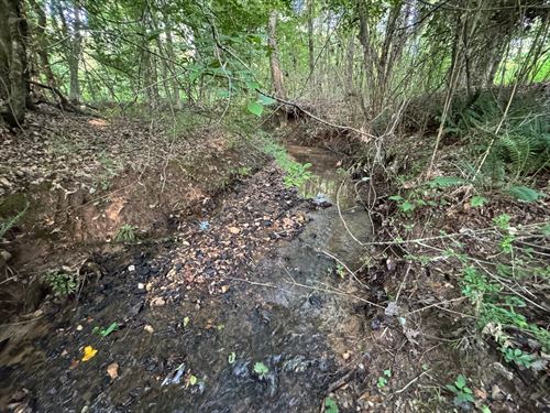 22.76 Ac, Camp Hill/Waverly : Camp Hill : Tallapoosa County : Alabama