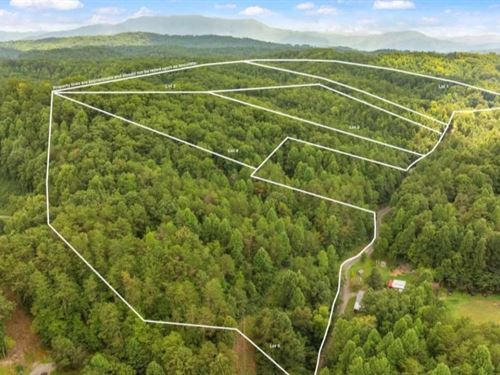 Pidgeon Forge 10 Acre Homesite : Sevierville : Sevier County : Tennessee