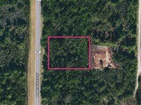 1.26 Ac, Rd Frontage Malabar, FL : Malabar : Brevard County : Florida