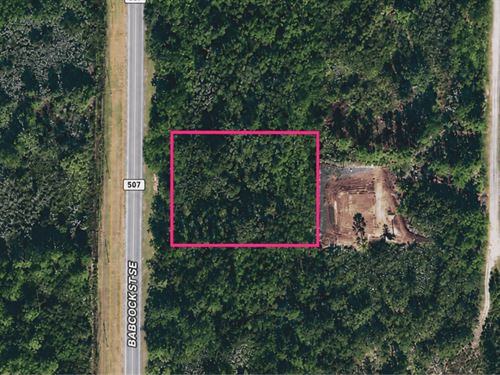 1.26 Ac, Rd Frontage Malabar, FL : Malabar : Brevard County : Florida