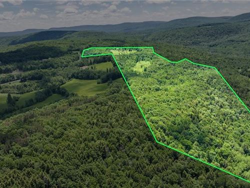 Picturesque 50 Acre Country Retreat : Seward : Schoharie County : New York