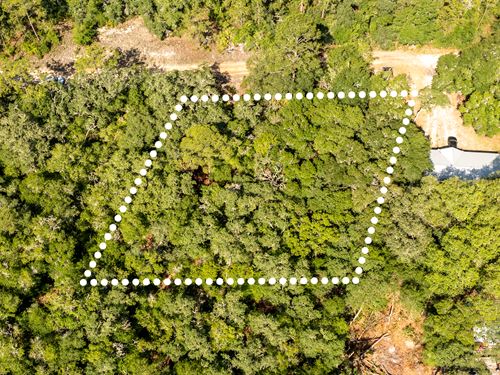 No HOA, Wooded Lot, Owner Financing : Satsuma : Putnam County : Florida