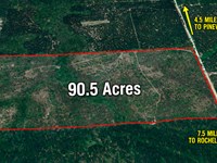 90.5 Acres-Hunting & Recreational : Rochelle : Wilcox County : Georgia