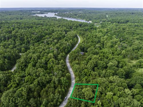 Backing Ben's Creek in The Ozarks : Horseshoe Bend : Izard County : Arkansas