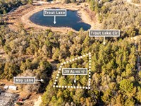 Trout Lake Special : Interlachen : Putnam County : Florida