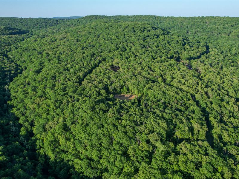Wilderness Run 47 : Winslow : Washington County : Arkansas