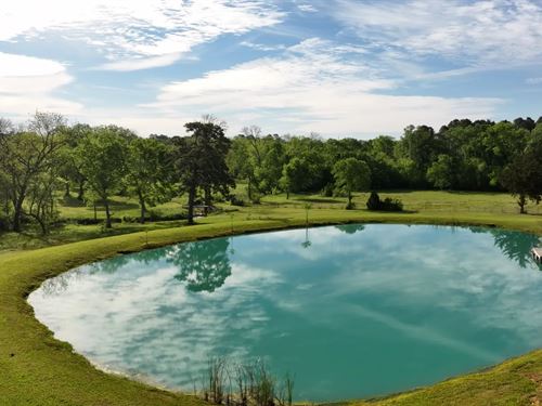 Spring Branch 19 : Montgomery : Texas