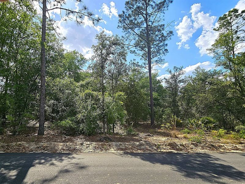 Lot 6, The Reserve Phase II Blacks : Blackshear : Pierce County : Georgia