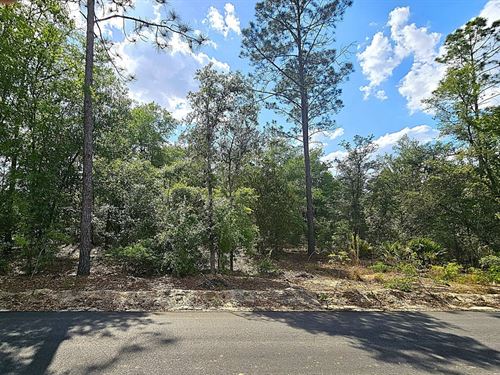 Lot 6, The Reserve Phase II Blacks : Blackshear : Pierce County : Georgia
