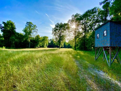 Leaf River Hunting Timber Retreat : Leakesville : Greene County : Mississippi