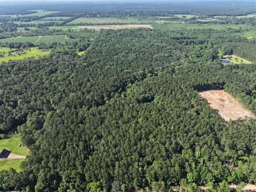 40.05 Acres in Rankin County, MS : Pelahatchie : Rankin County : Mississippi
