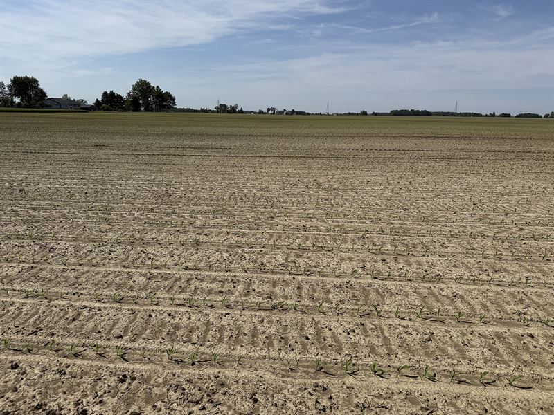 Land Auction, Allen County, In : Fort Wayne : Allen County : Indiana