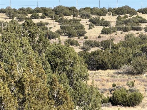 Corner Lot with Power and Water : Concho : Apache County : Arizona